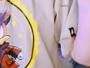 -ANN webcam model stream image