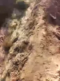 xmanrawan2 webcam stripchat model stream image