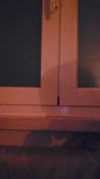 Kitty01lovexxx webcam model stream image