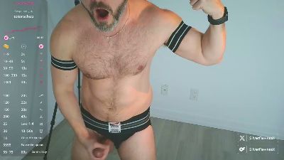 arlics2 webcam model stream image