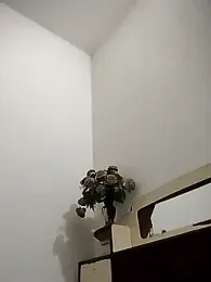 Rocky_boy4 webcam stripchat model stream image