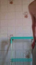 Love_them_curvi webcam cam4 model stream image