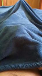 polli_play webcam cam4 model stream image