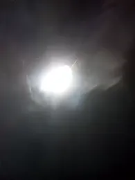 hairy_mannn webcam model stream image