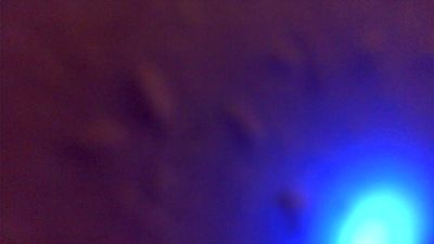bambam1980 webcam model stream image