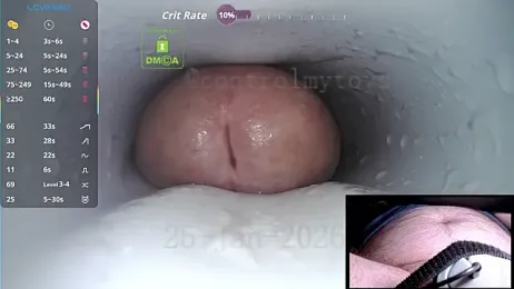 controlmytoys webcam model stream image