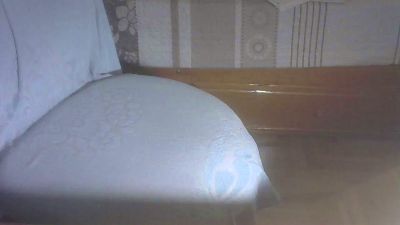 perrako_cerd webcam model stream image