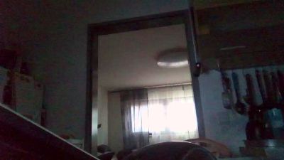 pimmelmann3 webcam model stream image