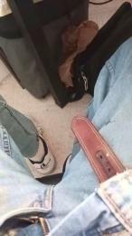 amm4848 webcam model stream image