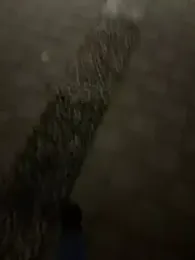 Foxfoxfox4 webcam stripchat model stream image