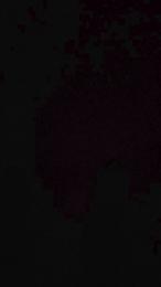 Capitan_filete webcam model stream image