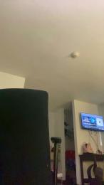 AJ5566 webcam cam4 model stream image