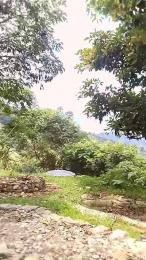 Remote_live webcam model stream image