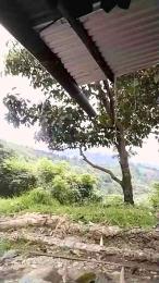 Remote_live webcam model stream image