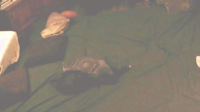 SchagenNH webcam model stream image