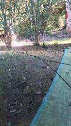 Petitebombe34 webcam cam4 model stream image