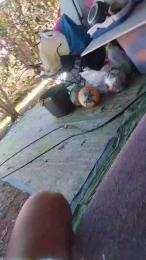 Petitebombe34 webcam model stream image