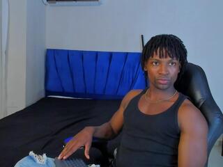 Tau Montes webcam model stream image