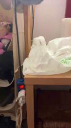 GreenTemptation webcam cam4 model stream image