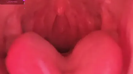 donghuangtaiyi--- webcam stripchat model stream image