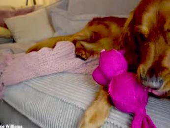 x_lily_x webcam chaturbate model stream image