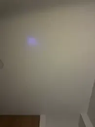 Nhefertary webcam model stream image