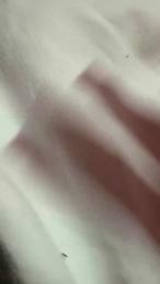 419xx webcam model stream image