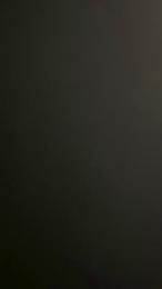 419xx webcam model stream image