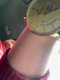 NHMDuc webcam model stream image