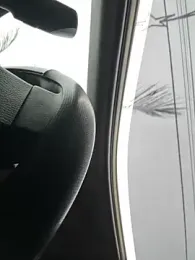 NHMDuc webcam model stream image