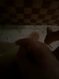 NHMDuc webcam model stream image