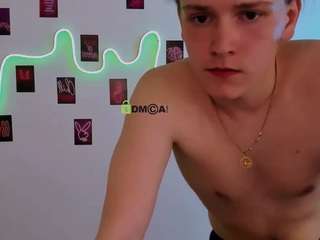 leo-void webcam model stream image