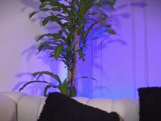 frankfarrell webcam model stream image