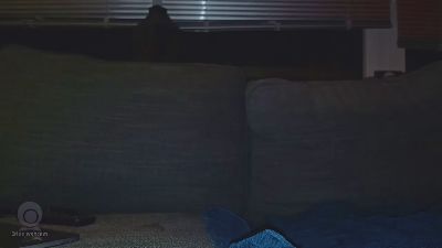 KarimWulf webcam model stream image