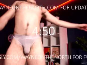 waynenorth webcam chaturbate model stream image