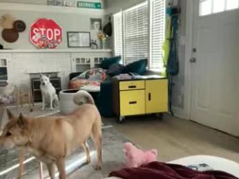 dreamyriri webcam model stream image