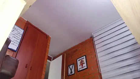 Salome-sw webcam model stream image