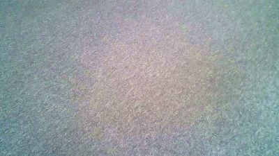 kiwi1980 webcam model stream image