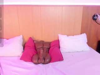 sofia-blaze webcam model stream image