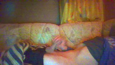 sachse4 webcam model stream image