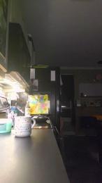 4_Fox_sakes webcam cam4 model stream image