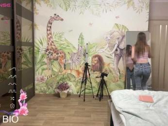 tinykisa webcam model stream image