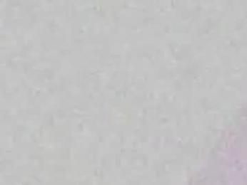 angielee01 webcam model stream image