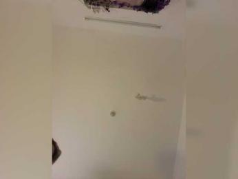 DilaraSecret webcam bongacams model stream image