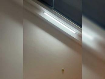 DilaraSecret webcam bongacams model stream image