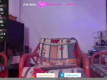 bandit_monkey webcam model stream image