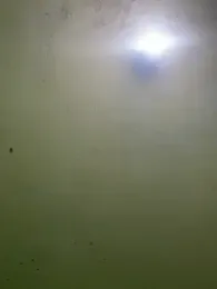 follladorr webcam model stream image