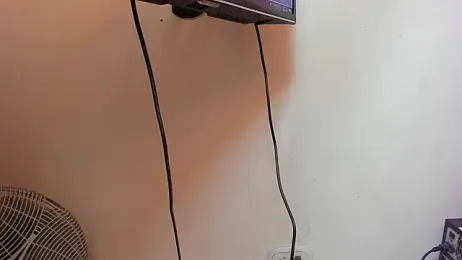 ZeusBrant webcam model stream image