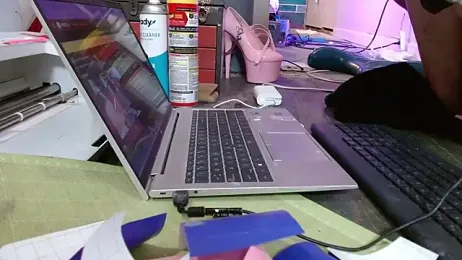 watermellonpussy webcam model stream image