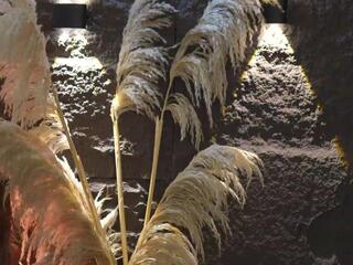 Ema Malkova webcam model stream image